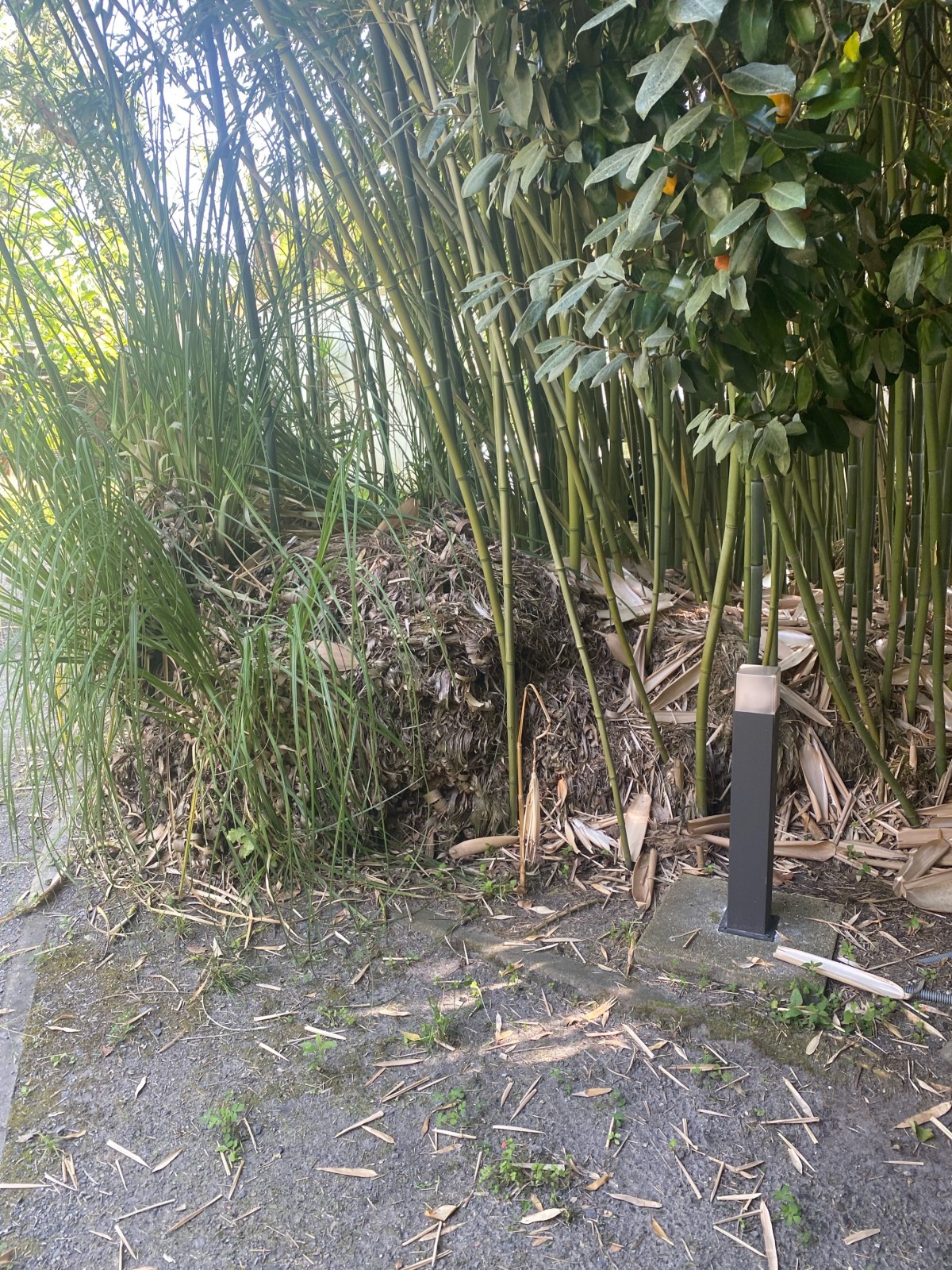 Installation d'éclairage extérieur et remise aux normes électriques à La Teste-de-Buch