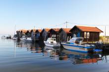 Nos prestations sur le secteur de Gujan-Mestras